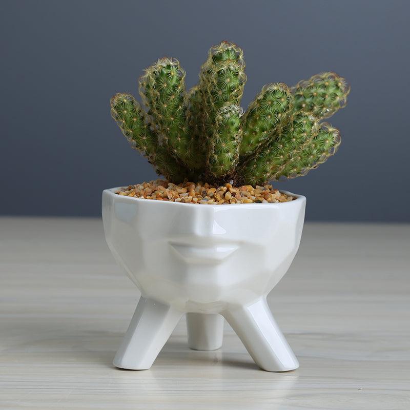 2-Piece White Ceramic Facial Succulent Planters